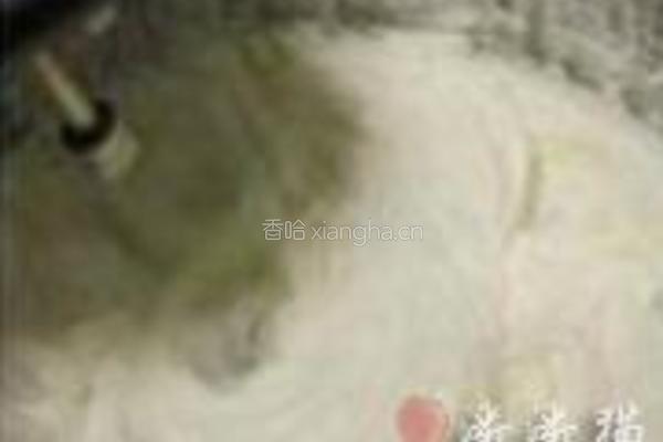 免烤柠檬芝士蛋糕杯的做法图解6