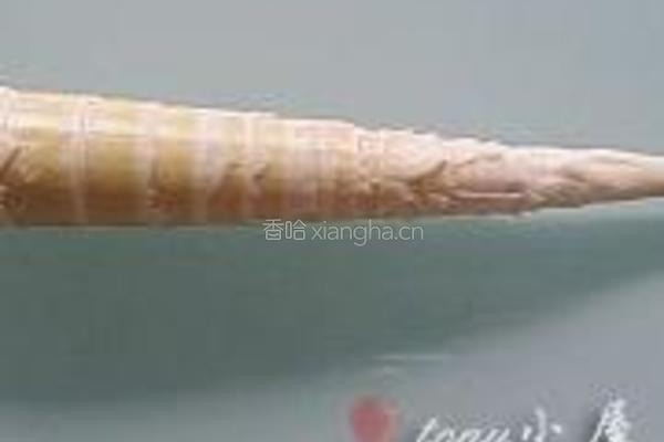 软荚豌豆炒春笋的做法图解8