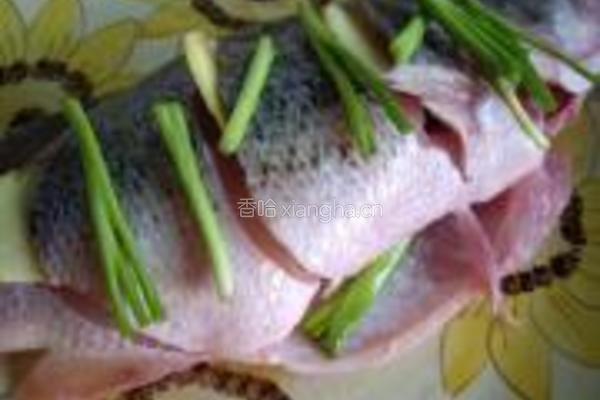 豉油鲈鱼的做法图解2