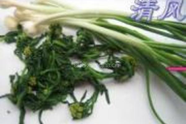 清明草粑粑的做法图解1