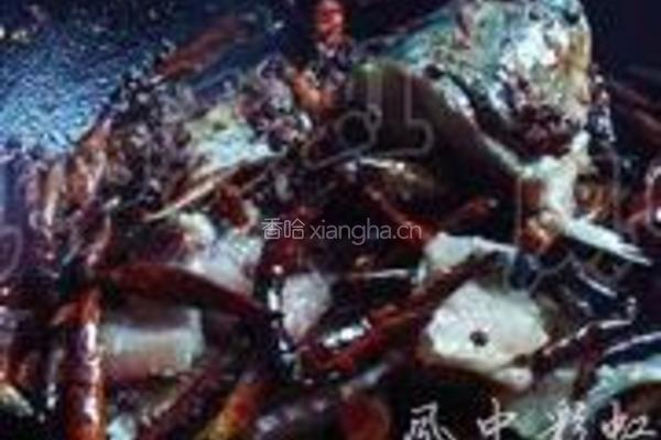 沸腾水煮鱼的做法图解10