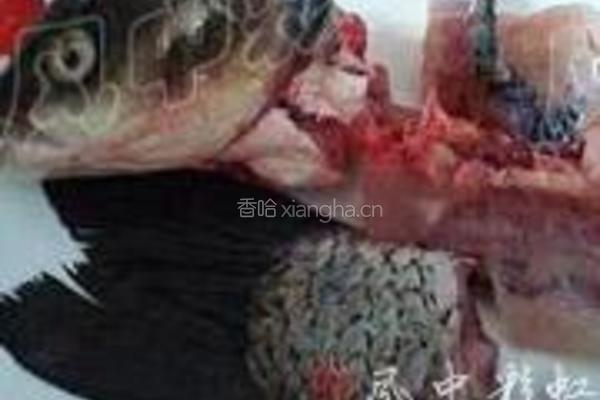 沸腾水煮鱼的做法图解3