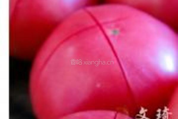 酸汤牛腩的做法图解1