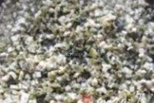 王牌玉米面饼的做法图解11
