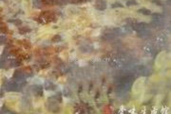 香辣牛肉粉的做法图解8