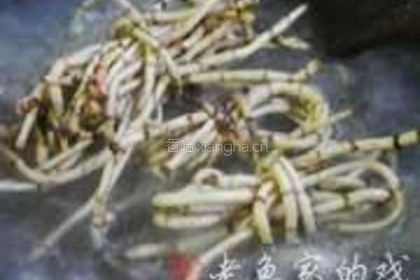 鱼腥草水鸭汤的做法图解3