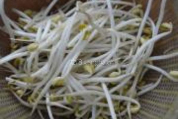 青炒黄豆芽的做法图解1