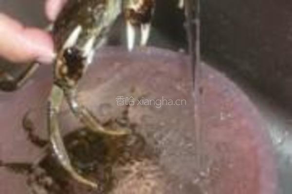 蟹香炸酱面的做法图解2