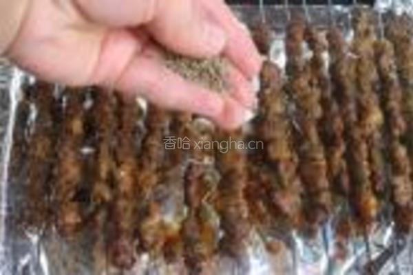 羊肉串的做法图解20