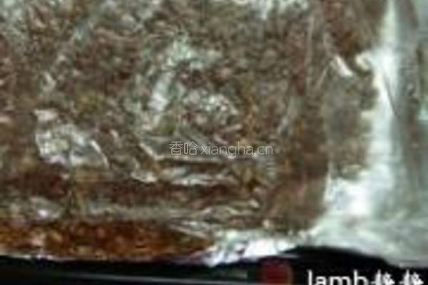 蜜汁肉脯的做法图解10