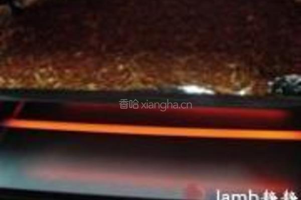 蜜汁肉脯的做法图解12