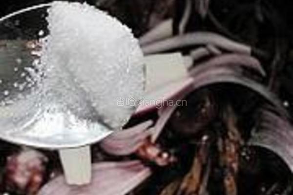 干锅茶树菇香干的做法图解20