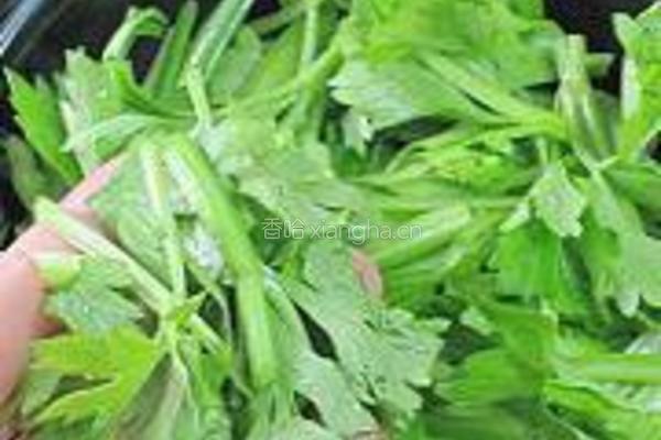 干锅茶树菇香干的做法图解29