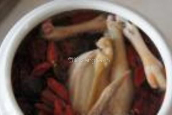 红枣圆肉鸽子汤的做法图解3