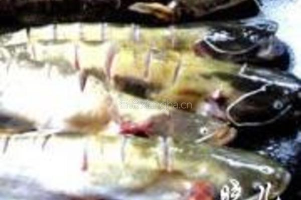 鲶鱼炖茄子的做法图解8