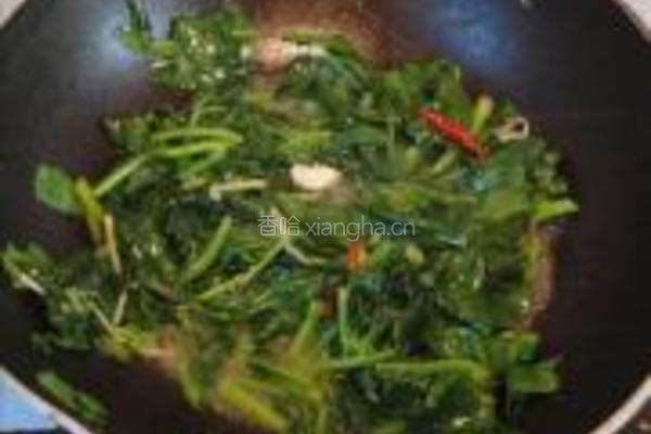 清炒木耳菜的做法图解5
