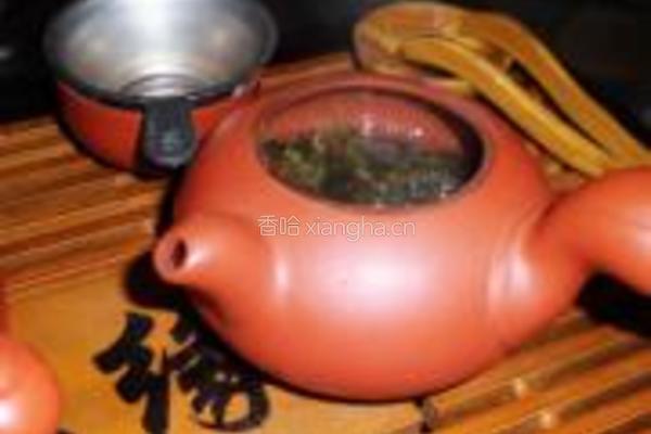 铁观音茶的做法图解4