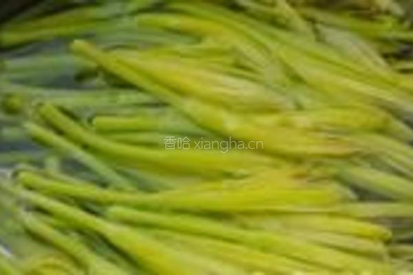 黄花菜炒肉丝的做法图解3