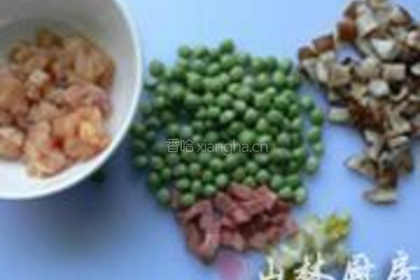 鸡肉杂什丁的做法图解1