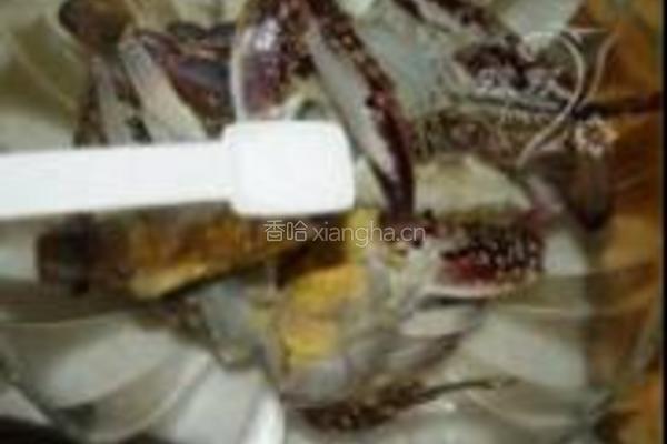 螃蟹粉丝煲的做法图解6