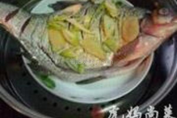 油淋鱼的做法图解3