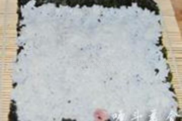 DIY寿司卷的做法图解3