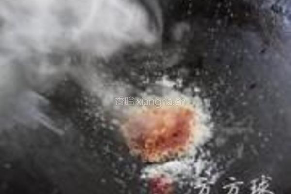 红烧肉炖干豆腐结的做法图解8