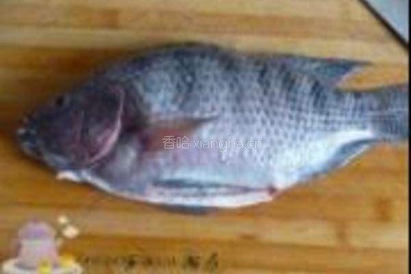 烤罗非的做法图解1