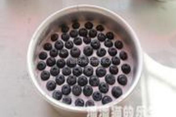 蓝莓芝士慕斯蛋糕的做法图解11