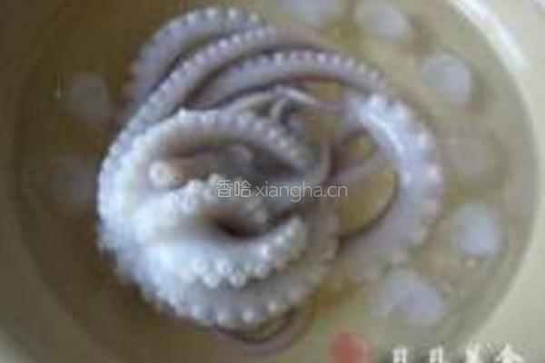 白切章鱼的做法图解5