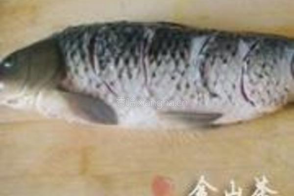 家常糖醋鱼的做法图解1