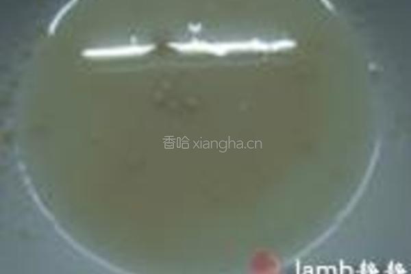 腊汁肉夹馍的做法图解1