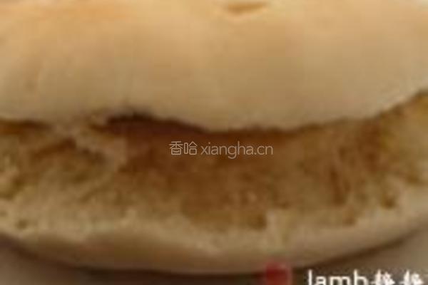 腊汁肉夹馍的做法图解18