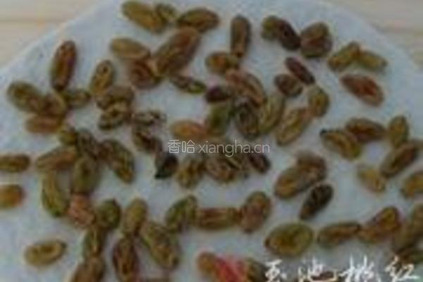 红酒葡萄干面包的做法图解5