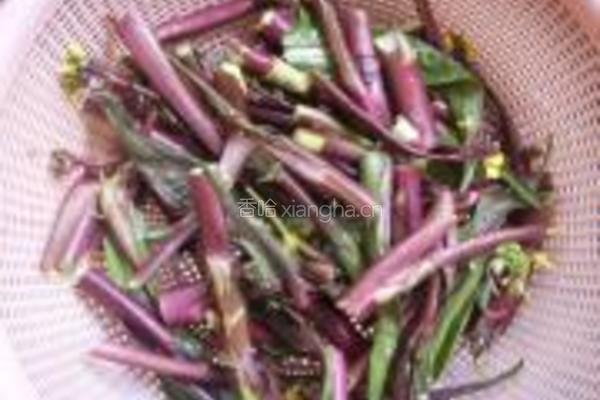 蒜茸红菜苔的做法图解1