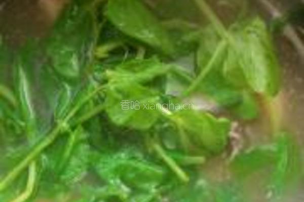 鱼片豌豆尖汤的做法图解8