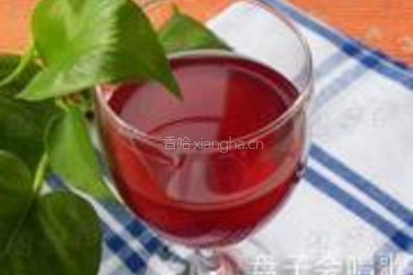 自制葡萄酒的做法图解14