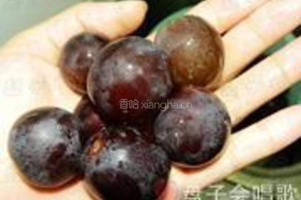 自制葡萄酒的做法图解4