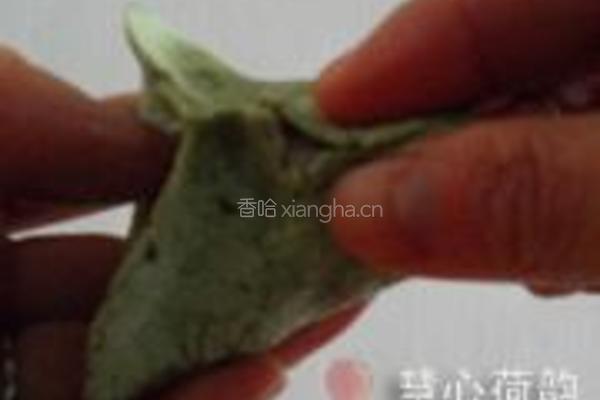 苏式青团子的做法图解39