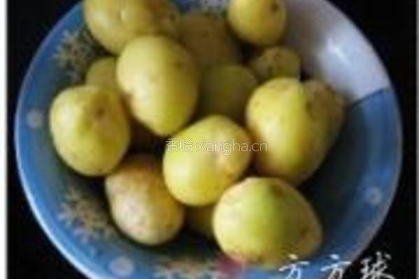 压锅大鹅炖土豆的做法图解3