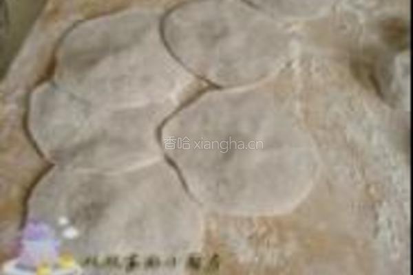 黑米野菜饺的做法图解10