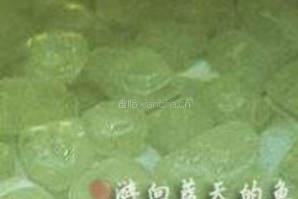 桔香飘飘的做法图解3