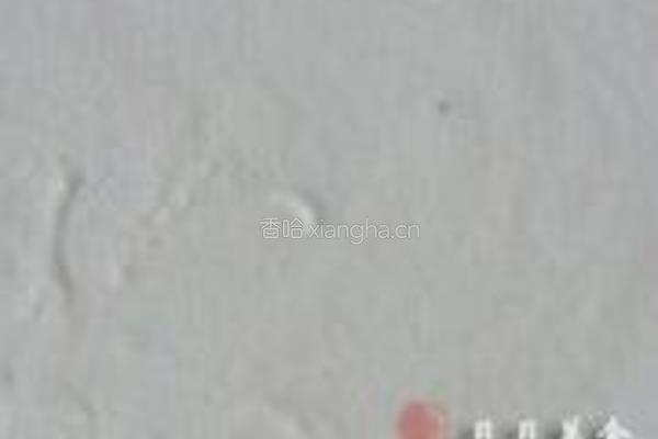 提拉米苏的做法图解19