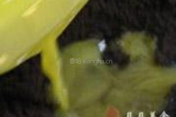 提拉米苏的做法图解5