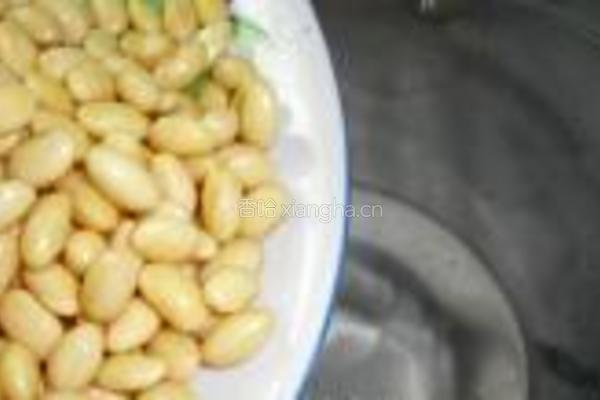 红枣大米豆浆的做法图解4