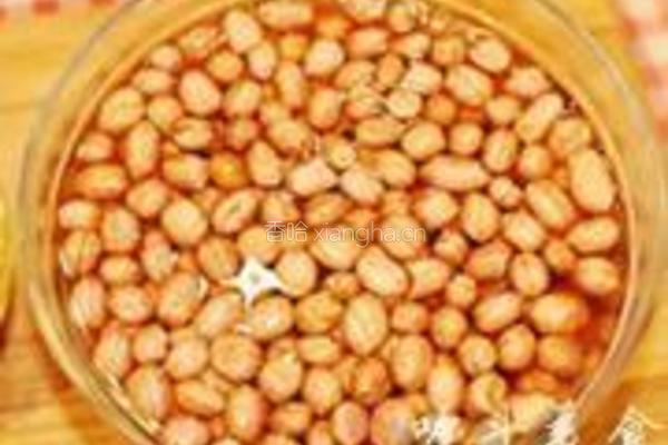 花生蜜枣粽子的做法图解4