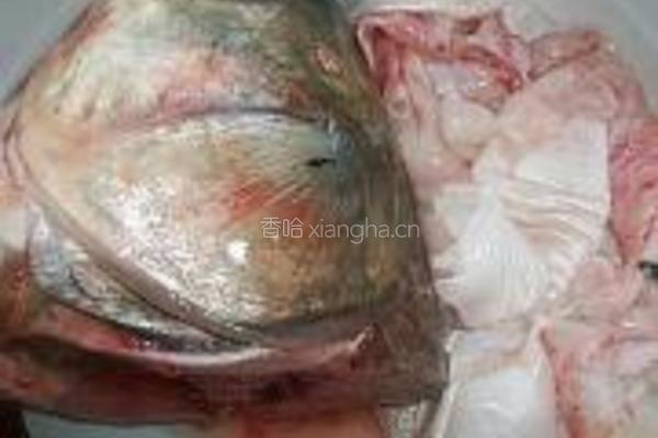 鱼鳔鱼头豆腐汤的做法图解2