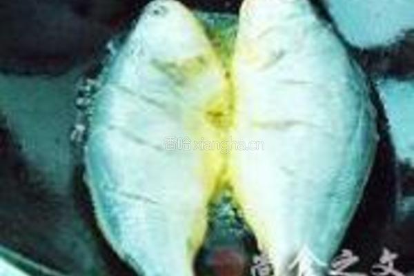 糖醋黄花鱼的做法图解2