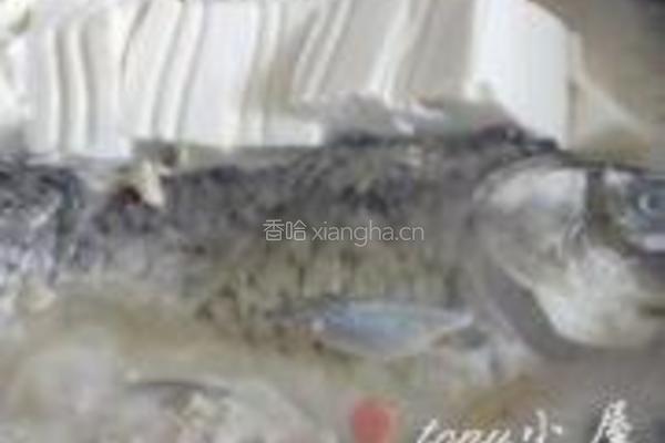 野生鲫鱼汤的做法图解12