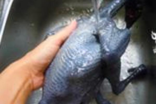 灵芝枸杞乌鸡汤的做法图解1